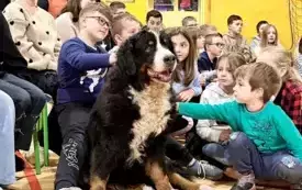 Spotkanie edukacyjno- behawioralne
