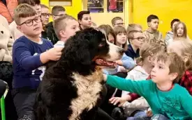 Spotkanie edukacyjno- behawioralne z psami