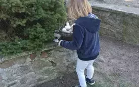 Zdjęcie WhatsApp 2025-04-06 o 19.50.03_ab6a54ff