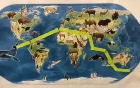 Wystawka z okazji Dnia edukacji Globalnej